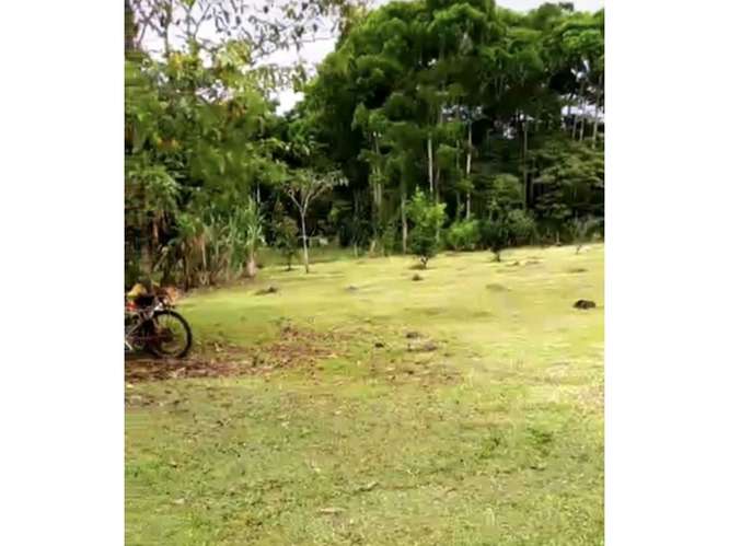 Hermoso Lote Tipo Quinta en Horquetas de Sarapiquí - Imagen 2