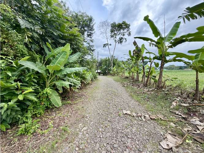 Encantadora Finca con Cabaña, Río y Vista al Volcán - Imagen 17