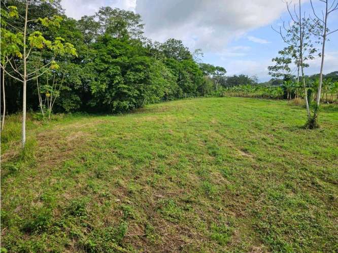 Encantadora Finca con Cabaña, Río y Vista al Volcán - Imagen 10