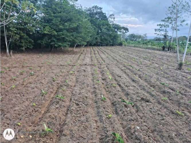 Encantadora Finca con Cabaña, Río y Vista al Volcán - Imagen 12