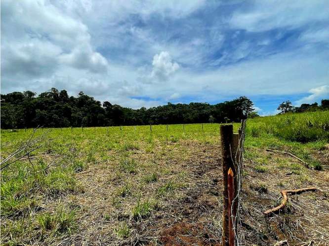 Terreno en Venta en Mata Palo, Quepos - Imagen 6