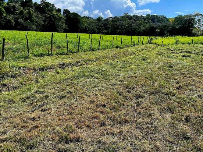 Terreno en Venta en Mata Palo, Quepos - Imagen 2