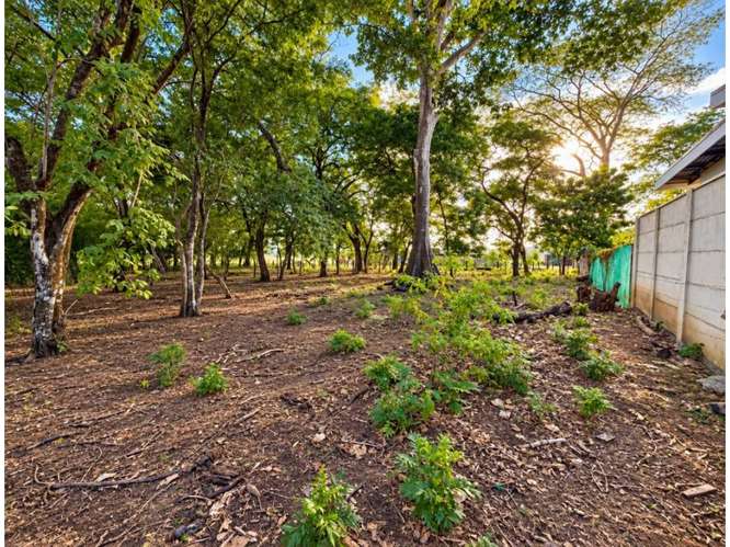 Lote en venta en Tamarindo, Guanacaste | 1.597 m² - Imagen 7