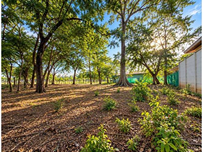 Lote en venta en Tamarindo, Guanacaste | 1.597 m² - Imagen 2