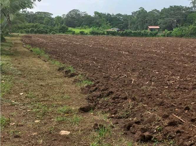 Excelente Terreno en La Fortuna - Imagen 7