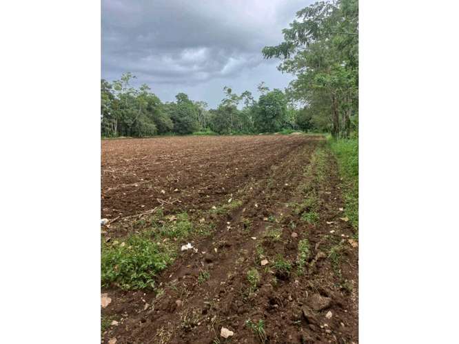 Excelente Terreno en La Fortuna - Imagen 8