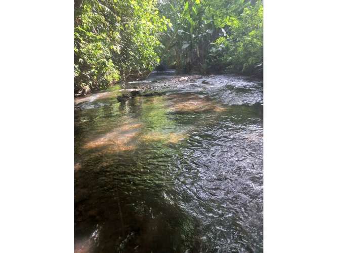 Excelente Terreno en La Fortuna - Imagen 3