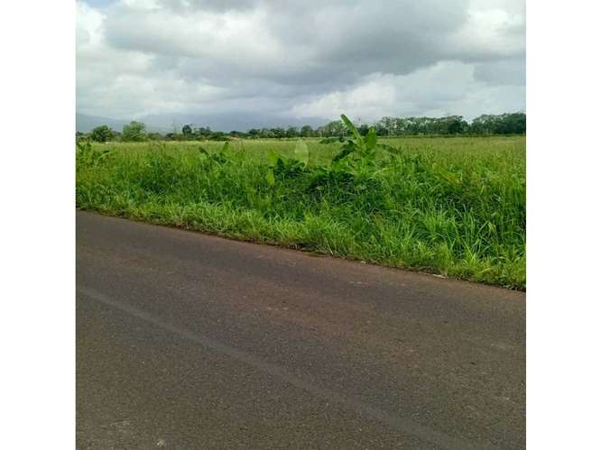 Excelente Terreno en La Fortuna - Imagen 6