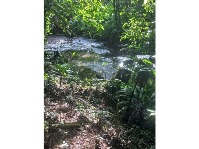Excelente Terreno en La Fortuna - Imagen 4