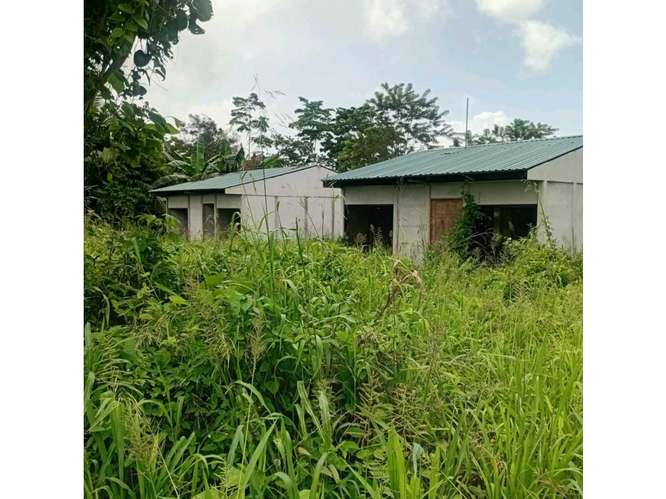 Excelente Terreno en La Fortuna - Imagen 5