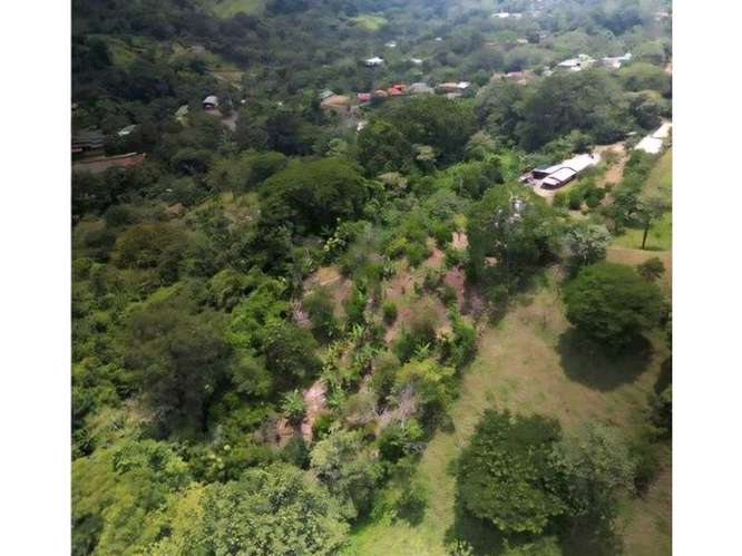 Exclusividad y Naturaleza: Terreno de 4,216 m² en Atenas - Imagen 7