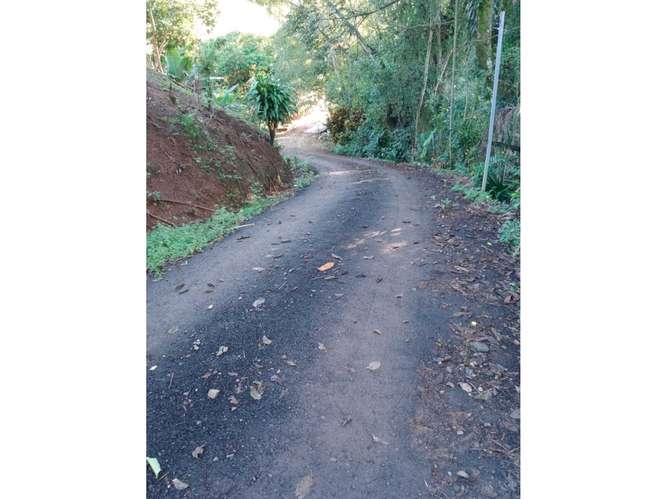 Exclusividad y Naturaleza: Terreno de 4,216 m² en Atenas - Imagen 4