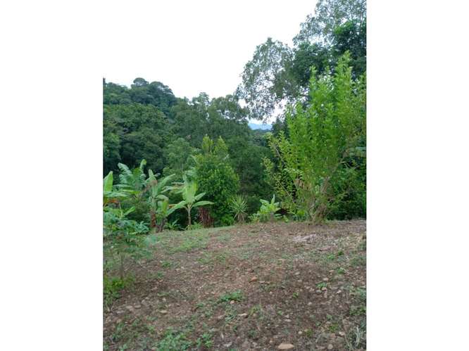 Exclusividad y Naturaleza: Terreno de 4,216 m² en Atenas - Imagen 3