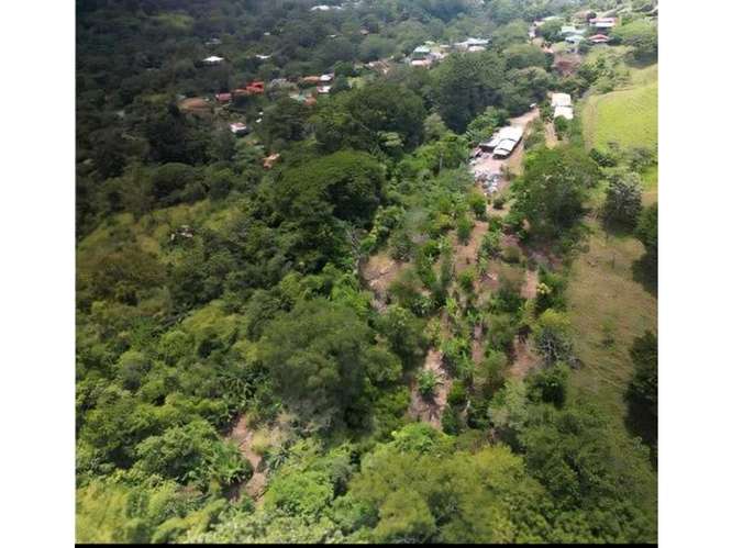 Exclusividad y Naturaleza: Terreno de 4,216 m² en Atenas - Imagen 8