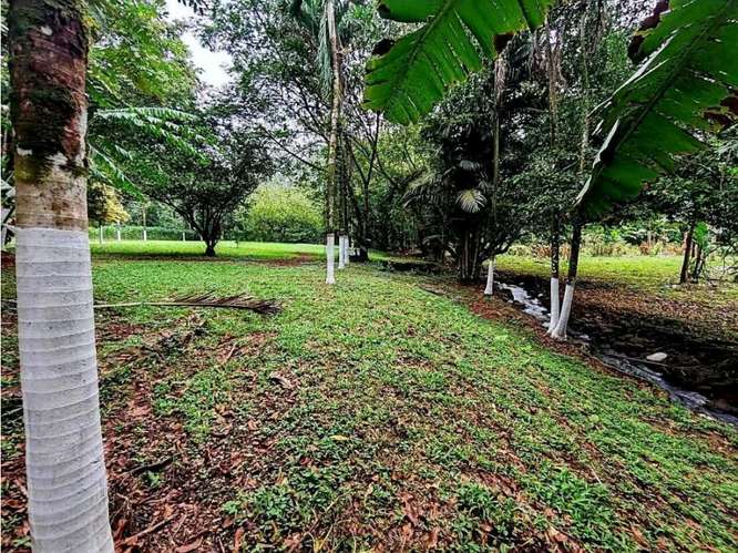 Quinta Turística y Comercial en Valle Azul de San Ramón - Imagen 12