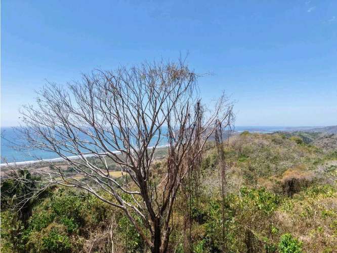 Excelente Terreno con Vista al Mar - Imagen 3