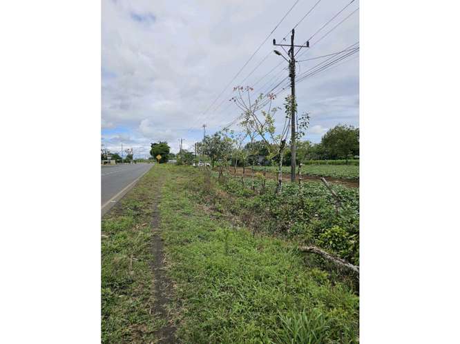 Terreno comercial en La Fortuna | 5.000 m² sobre corredor vial - Imagen 5