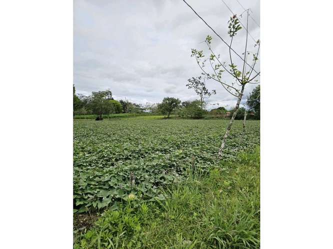 Terreno comercial en La Fortuna | 5.000 m² sobre corredor vial - Imagen 11