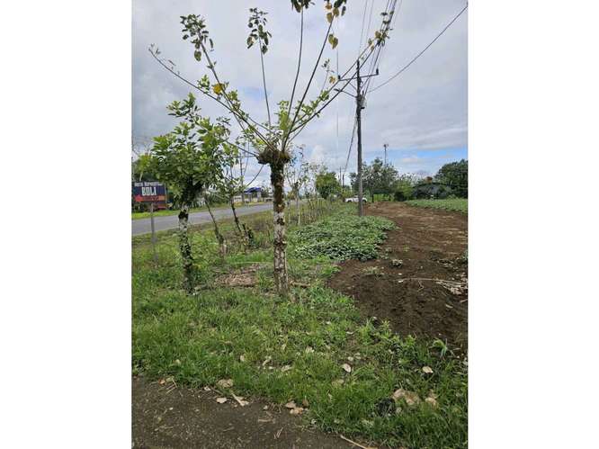 Terreno comercial en La Fortuna | 5.000 m² sobre corredor vial - Imagen 6