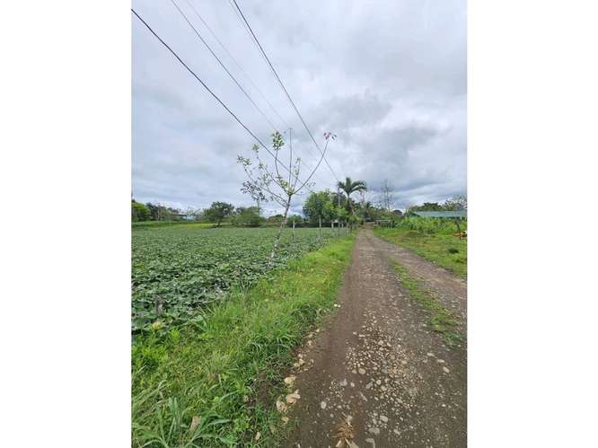 Terreno comercial en La Fortuna | 5.000 m² sobre corredor vial - Imagen 9