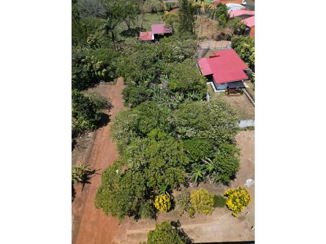 Terreno en Venta en San Pedro de San Ramón - Imagen 4
