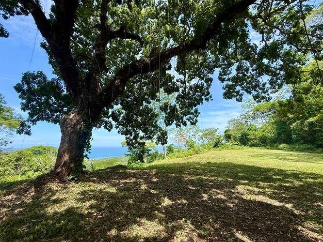Terreno con vista al mar y montañas en Playa Coyote Bejuco, Nandayure - Imagen 6