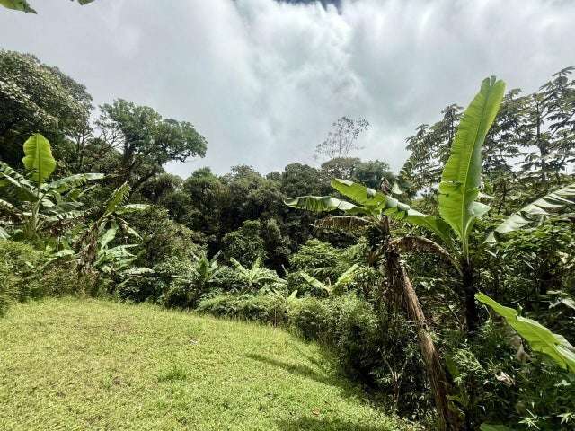 Terreno en venta en Varablanca, Heredia, con vista a las montañas y vegetación exuberante H.A. - Imagen 11