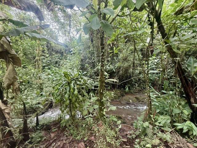 Terreno en venta en Varablanca, Heredia, con vista a las montañas y vegetación exuberante H.A. - Imagen 14