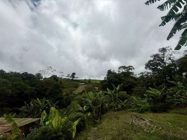 Terreno en venta en Varablanca, Heredia, con vista a las montañas y vegetación exuberante H.A. - Imagen 6