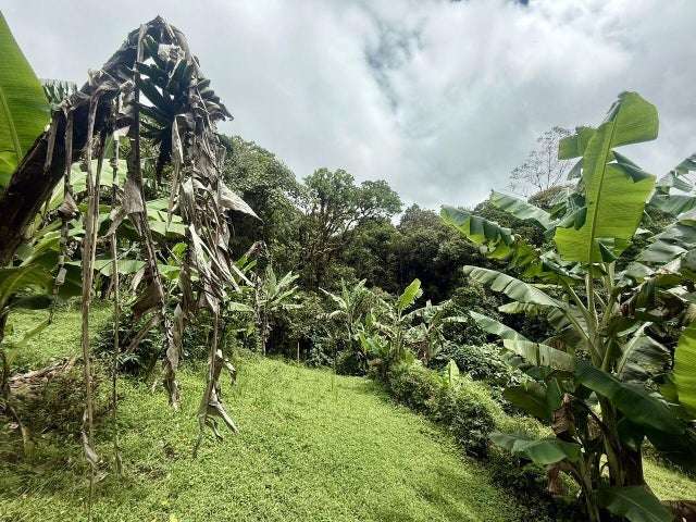 Terreno en venta en Varablanca, Heredia, con vista a las montañas y vegetación exuberante H.A. - Imagen 8