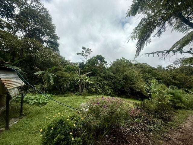 Terreno en venta en Varablanca, Heredia, con vista a las montañas y vegetación exuberante H.A. - Imagen 4