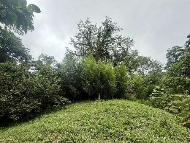 Terreno en venta en Varablanca, Heredia, con vista a las montañas y vegetación exuberante H.A. - Imagen 13