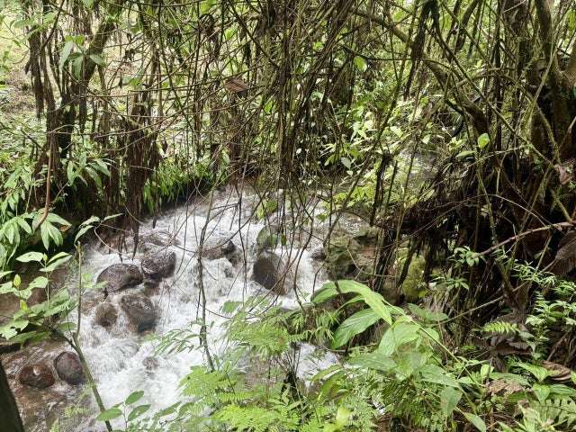 Terreno en venta en Varablanca, Heredia, con vista a las montañas y vegetación exuberante H.A. - Imagen 17
