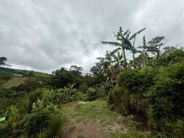 Terreno en venta en Varablanca, Heredia, con vista a las montañas y vegetación exuberante H.A. - Imagen 5