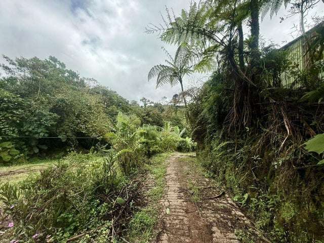 Terreno en venta en Varablanca, Heredia, con vista a las montañas y vegetación exuberante H.A.