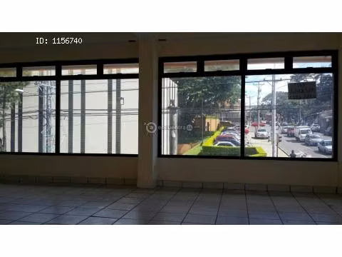 Locales commerciales: (mucho transito)