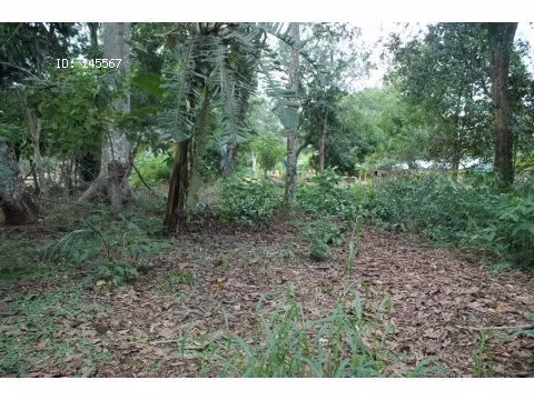 VENTA DE FINCA EN ESPARZA - Imagen 5
