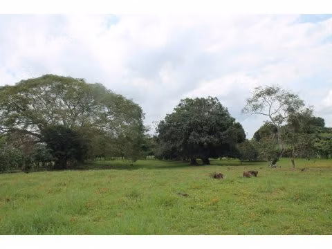 VENTA DE FINCA EN ESPARZA - Imagen 3