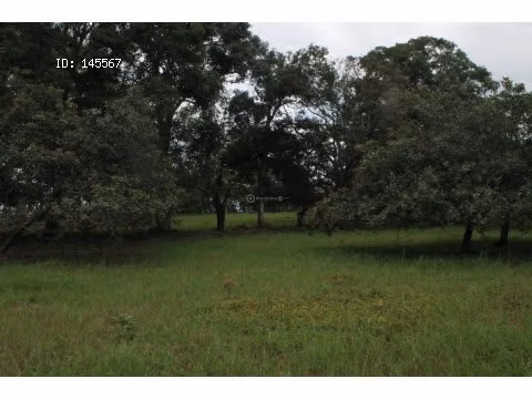 VENTA DE FINCA EN ESPARZA - Imagen 7