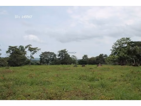 VENTA DE FINCA EN ESPARZA - Imagen 6