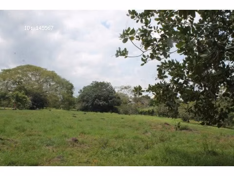 VENTA DE FINCA EN ESPARZA - Imagen 8