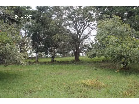 VENTA DE FINCA EN ESPARZA - Imagen 9