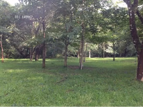 VENTA DE FINCA EN OROTINA - Imagen 4