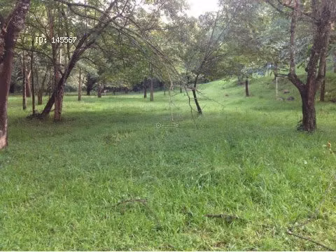 VENTA DE FINCA EN OROTINA - Imagen 3