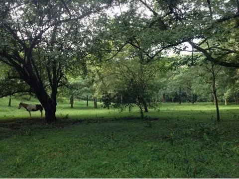 VENTA DE FINCA EN OROTINA - Imagen 5