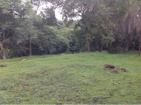 VENTA DE FINCA EN OROTINA - Imagen 2