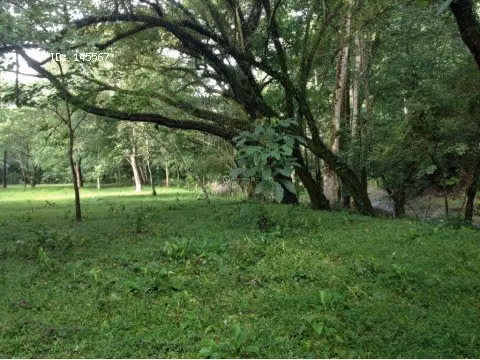 VENTA DE FINCA EN OROTINA - Imagen 6