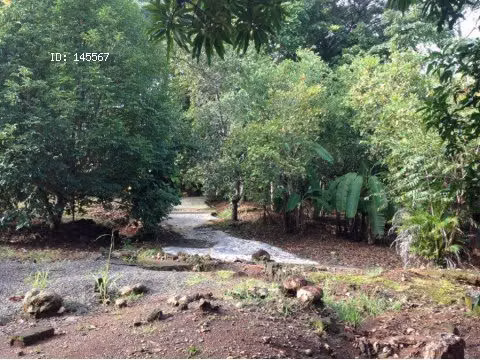 VENTA DE FINCA EN OROTINA - Imagen 7