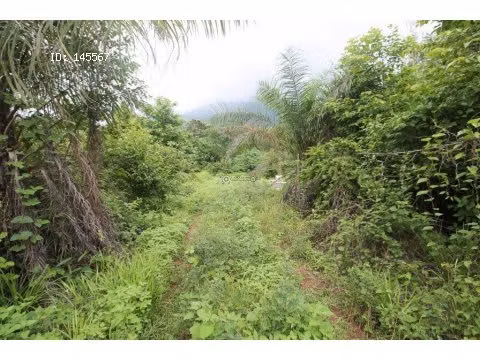 VENTA DE TERRENO - Imagen 3