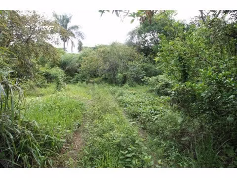 VENTA DE TERRENO - Imagen 5